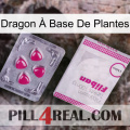 Dragon À Base De Plantes 32